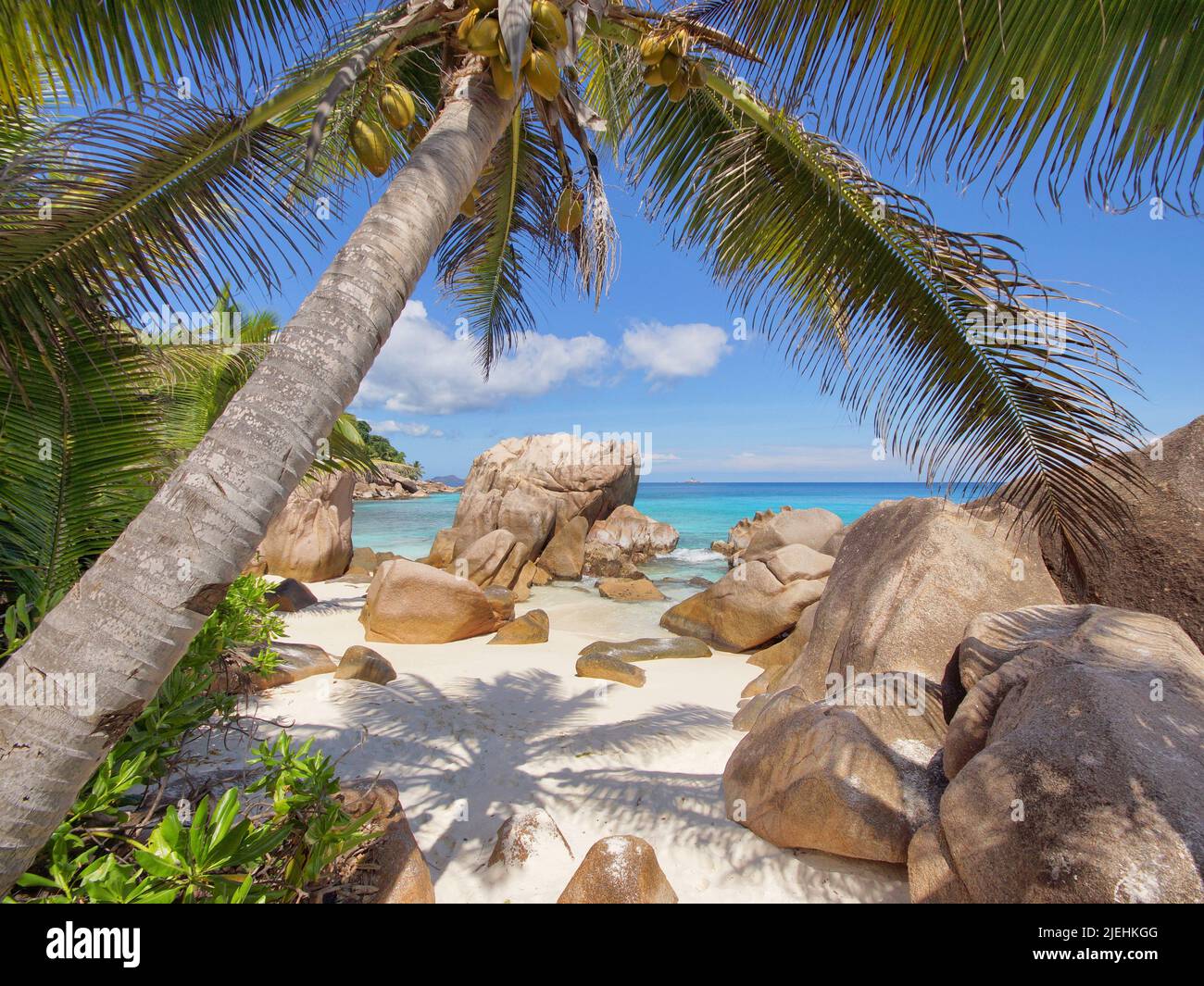 Seychellen, La Dique, Anse Source d`Argent, Palmen und Felsen am Strand, Stock Photo